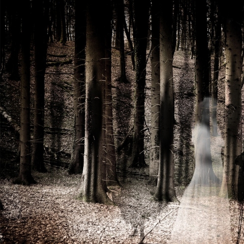 forest with a translucent woman wearing a white dress