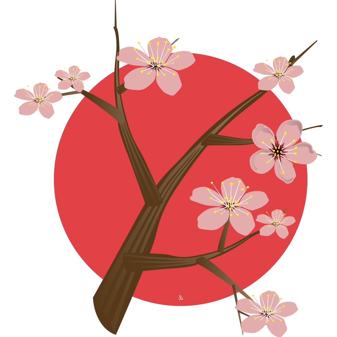 illustration of a cheery blossom limb in front of a red circle